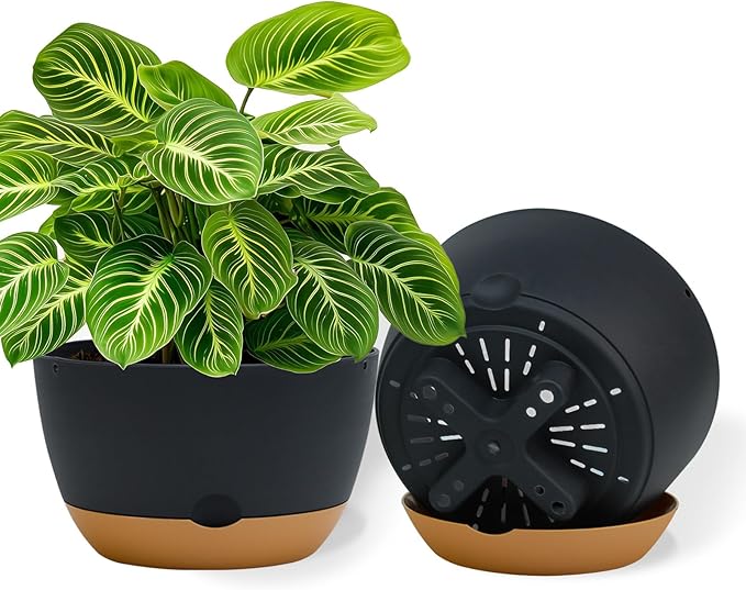 10 Inch Pots for Indoor Plants, Large Self Watering Planters with Drainage and Saucers, Plastic Outdoor Flower Pot, Set of 2, Grey-VerdiqueGarden