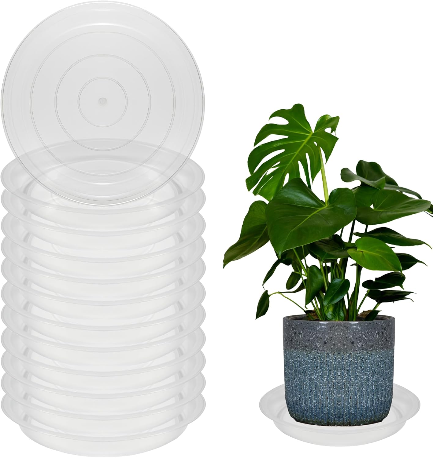 12 Pack 12 Inch Round Plant Saucers for Less 9.8 Inch Pot Indoors Outdoors Plant Trays for Pots Planter Saucer Plastic Plant Drip Tray Planter Water Tray for Potted Plants (Clear, 12"(12pcs))-VerdiqueGarden