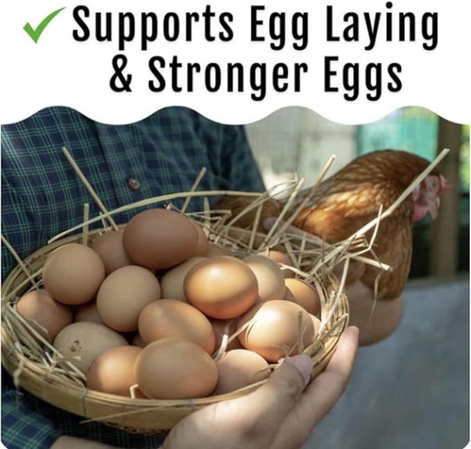 Grub Fuel Black Soldier Fly Larvae for Chickens - Nutrient Packed BSFL, Sustainably Sourced Snack for Poultry, Rich in Protein, Calcium, Fiber, Essential Fatty Acids, USA Grown (5LB)-VerdiqueGarden