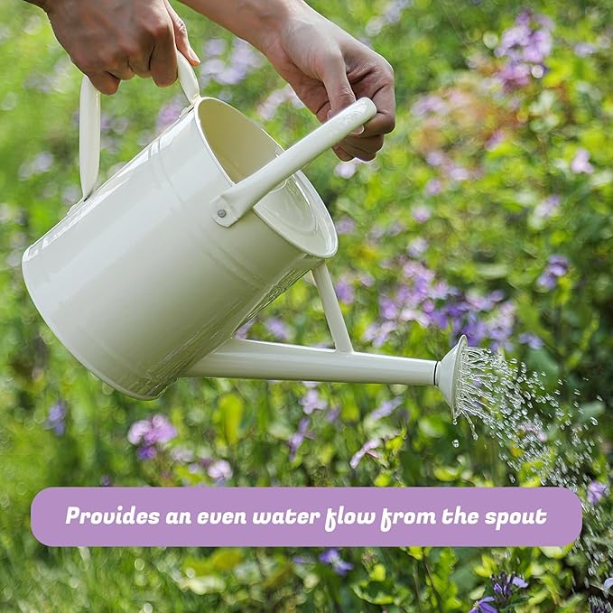 1 Gallon Watering Can for Plants, Watering Cans for Indoor&Outdoor Gardening, Galvanized Steel Watering Pot with Removable Spout, Metal Water Can with Ergonomic Movable Handle(White)-VerdiqueGarden