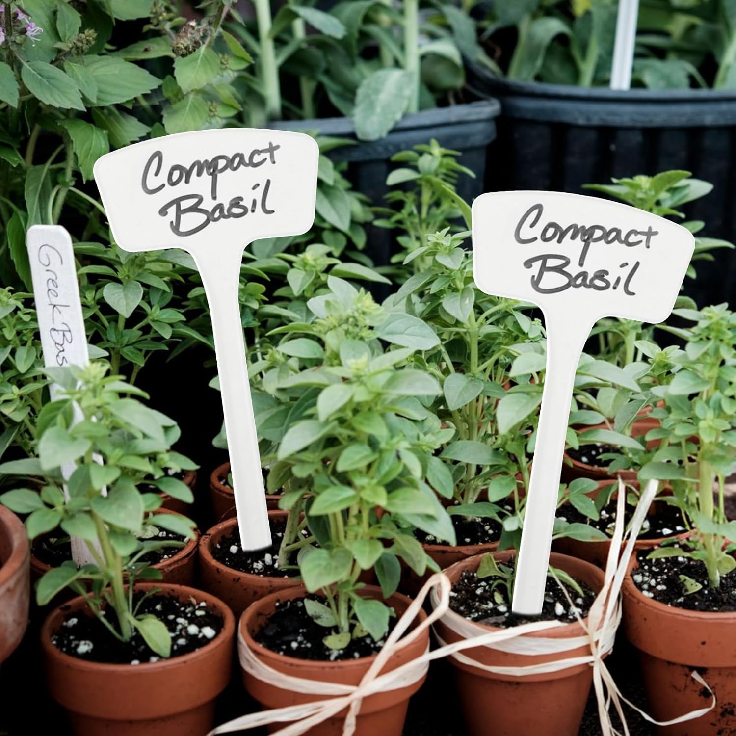 100 Pcs Plant Labels,T-Type 10.63inch Large Plastic Plant Tags Waterproof Plant Makers Nursery Garden Labels for Outdoor Indoor Plants Herbs Flowers Vegetable Potted Belt Marker Pen (White)-VerdiqueGarden