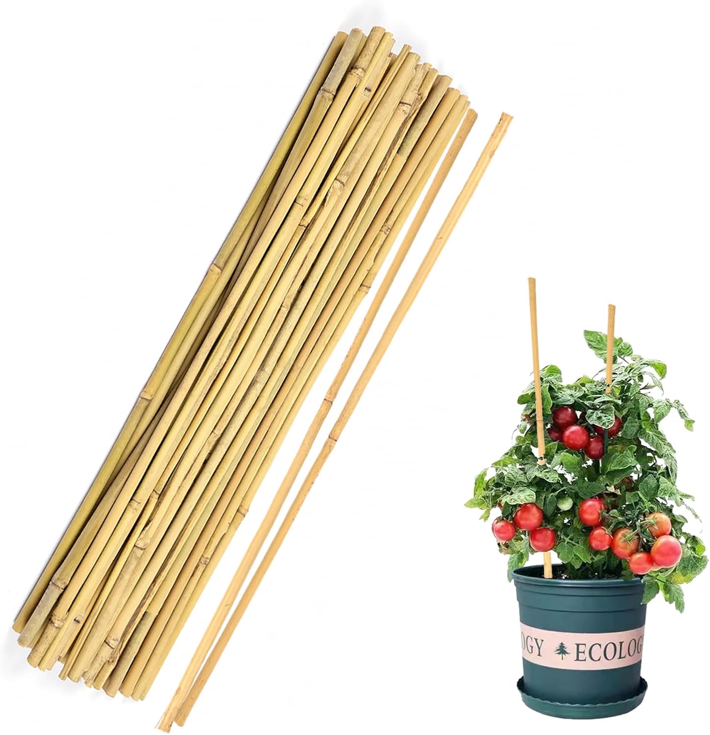 40pcs Natural Bamboo Sticks for Indoor and Outdoor Plants, 16 Inch Plant Support Stakes for Tomato, Beans, Potted Plants and Vegetable-VerdiqueGarden