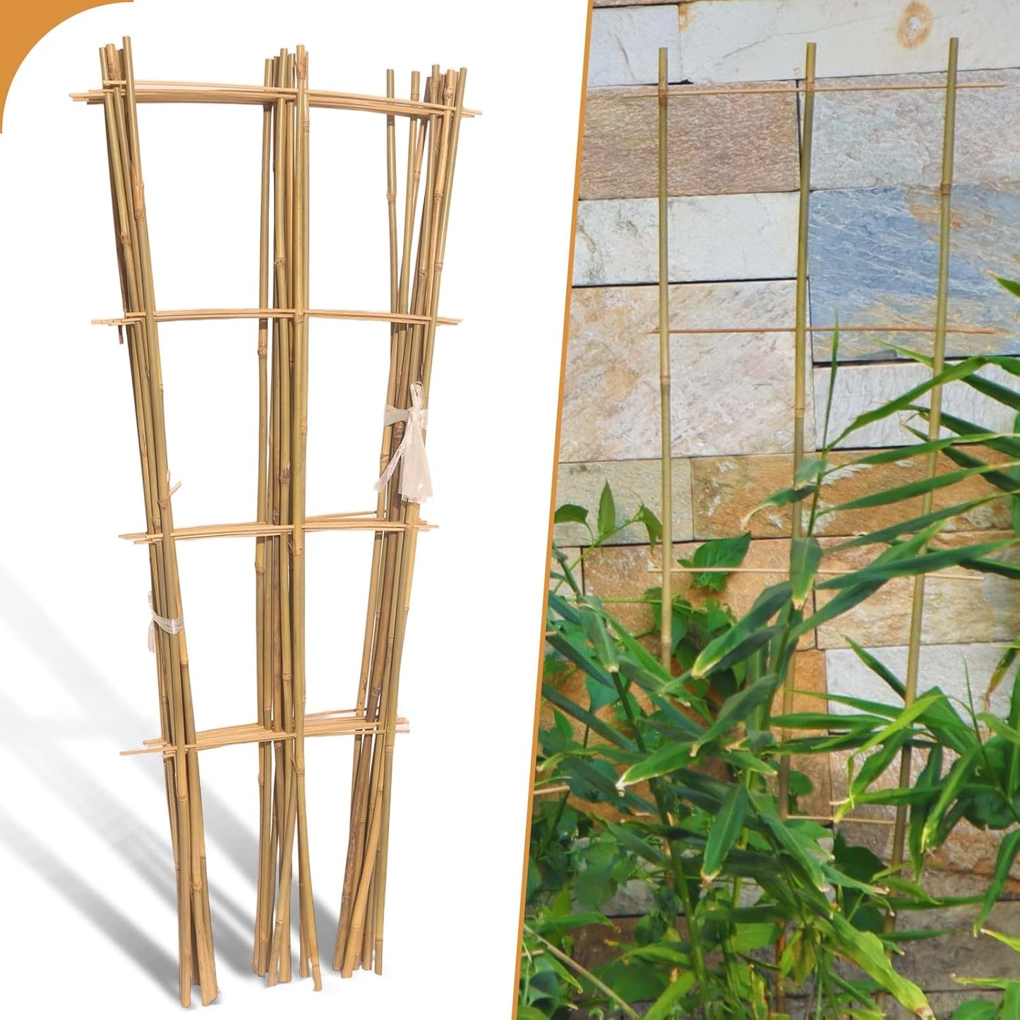 10 Pack 3ft Bamboo Trellis for Climbing Plants-Natural Garden Ladder Trellis, Fan -Shaped Support Trellis for Potted Plant Decor in Door-VerdiqueGarden