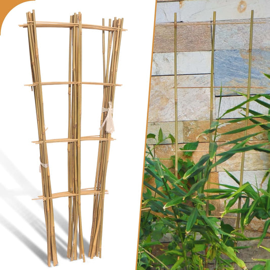 10 Pack 3ft Bamboo Trellis for Climbing Plants-Natural Garden Ladder Trellis, Fan -Shaped Support Trellis for Potted Plant Decor in Door-VerdiqueGarden