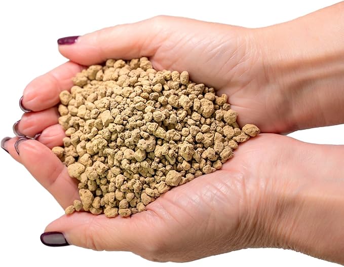 Japanese Hyuga Pumice - Premium Additive for Orchid & Bonsai Tree Soil |Professional Imported Sifted and Ready to Use (1 Quart Bag)-VerdiqueGarden