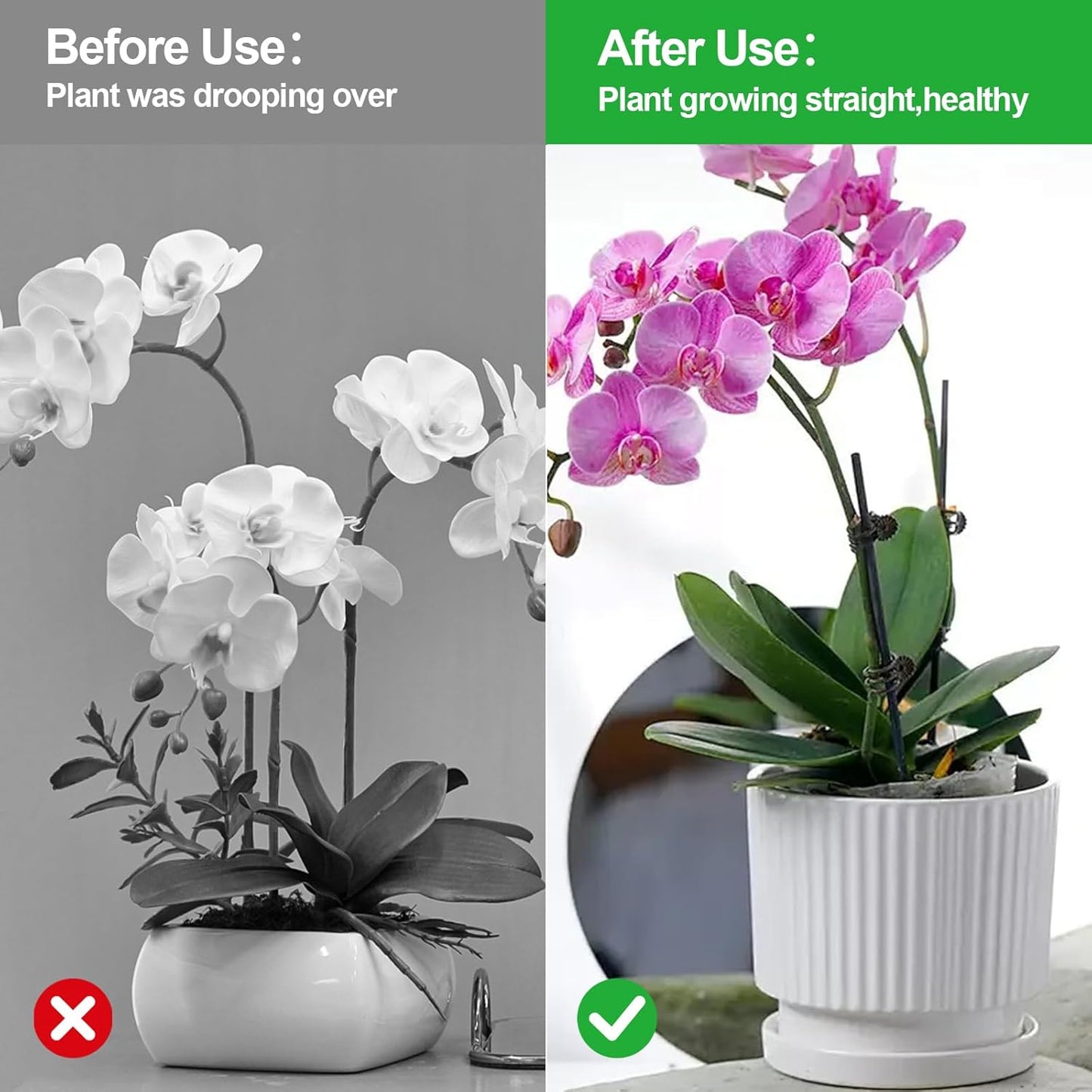 50 Pcs Plant Clips Orchid Clips,Plant Orchid Support Clips,Flower and Vine Clips，Garden Clips，Plant Clips for Climbing Plants-VerdiqueGarden