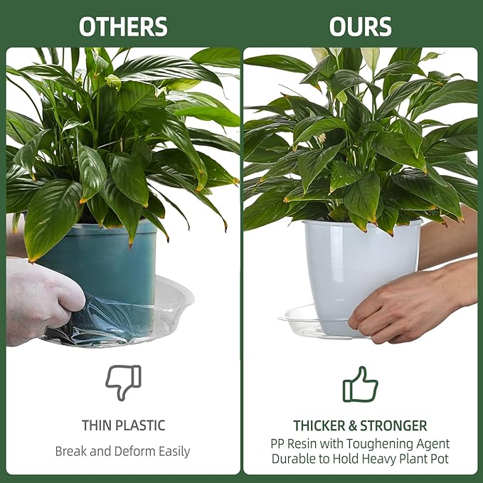 BORPEIN Plant Saucer (6,8,10,12inch, 24 Pack) Clear Plastic Plant Trays for Pots Indoors Outdoors, Thicker Flower Pot Saucers, Plant Plate to Catch Water-VerdiqueGarden