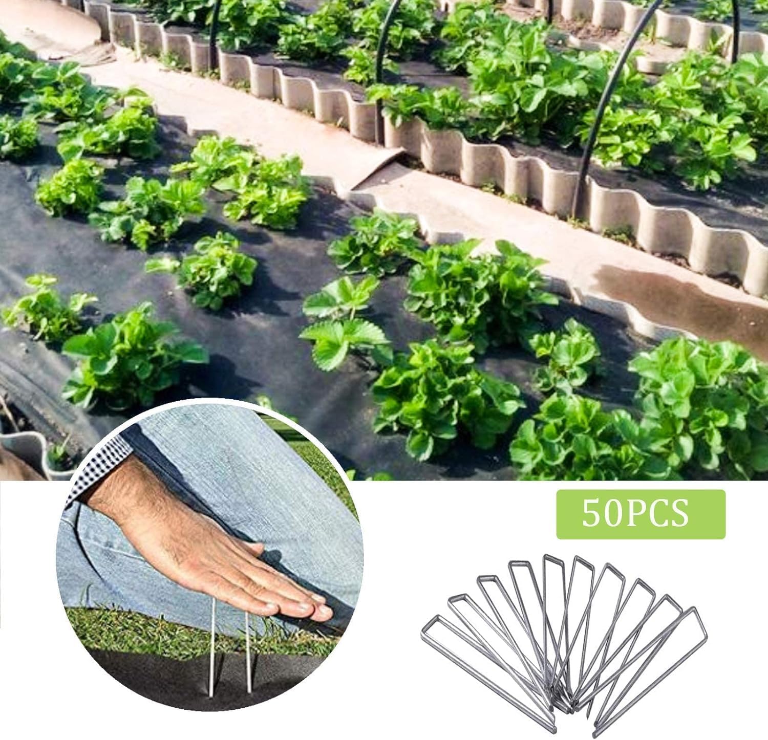 12 Inch Galvanized Garden Landscape Staples Stakes, 25 50 100 PCS Anti-Rust Garden Staples U-Shaped Landscape Pins for Secure Lawn Fabric (50, 12 Inch)-VerdiqueGarden