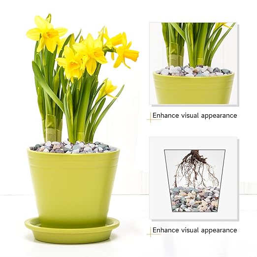 10 lbs Pea Gravel for Plants, Aquarium, Fish Tank, 3/8 inch Decorative Pebbles for Indoor Plants, Succulent, Bamboo, Vase, Drainage Rocks for Potted Plants, Top Dressing, Mixed Color-VerdiqueGarden