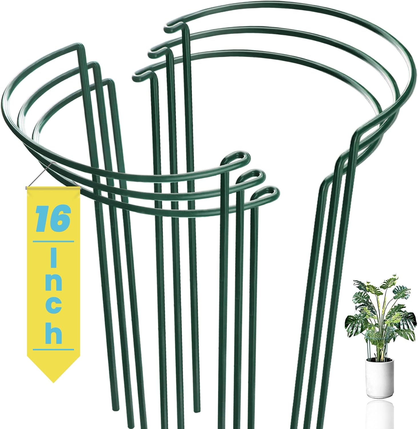 6-Pack Snake Plant Support Stakes, Half-Round Peony Cages and Supports, Green Plant Support Ring - Sturdy and Durable for Indoor and Outdoor Potted Plants, Such as Amaryllis, Peony, Hydrangea-VerdiqueGarden