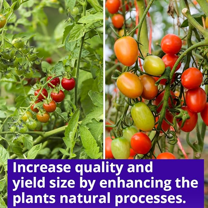 Humboldts Secret Sweet & Sticky – Carbohydrate and Saccharide Energy Source – Enhance Aroma and Flavor of Plants – Potting Soil for Indoor Plants – Energy for Plants – 1 Gallon-VerdiqueGarden