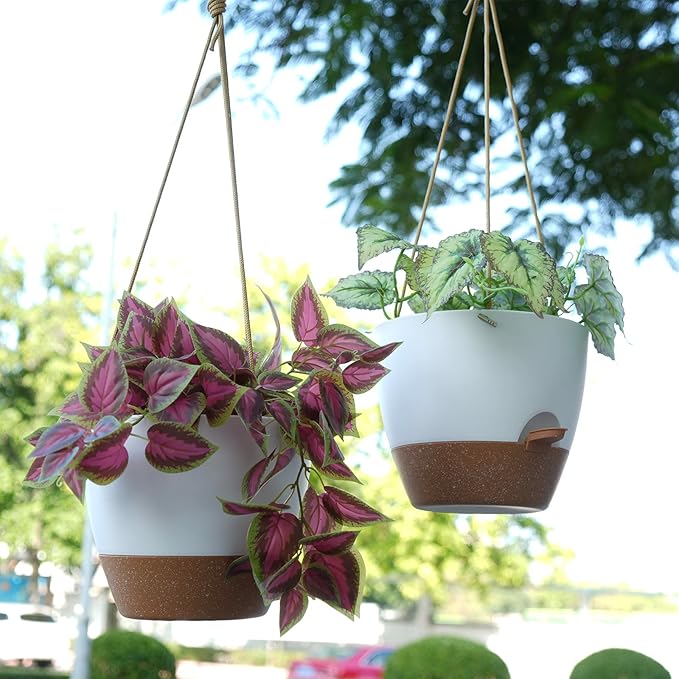 10 Inch Self Watering Hanging Pots, 2 Pack Hanging Planters with 40oZ Deep Reservior for Indoor Outdoor Plants Flowers, White with Brown-VerdiqueGarden