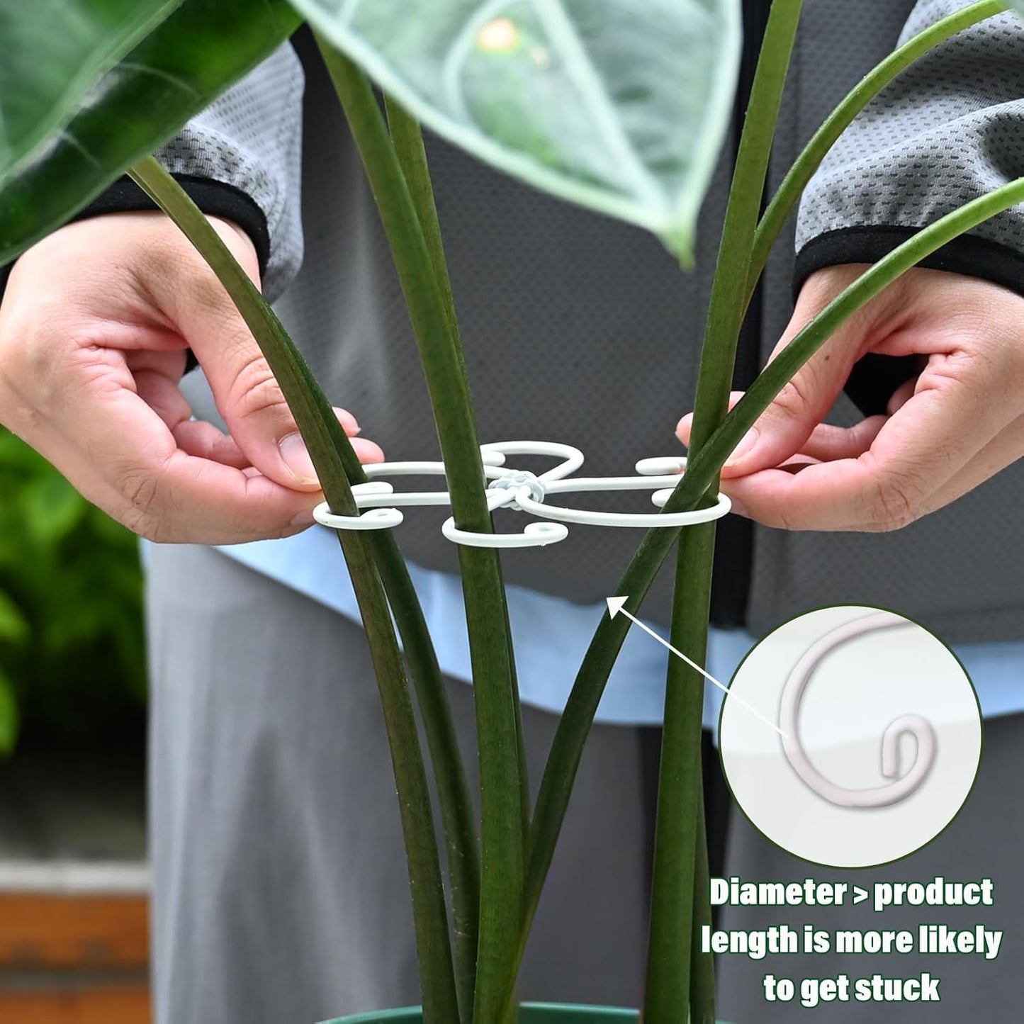 5PCS Monstera Plant Support Hook White 4.1 * 4.1 Inch – Set of 5 Durable Metal Stem Stabilizer Clips & Soft Grip Leaf Holders for Healthy Growth of Monstera & Fishbone Cactus-VerdiqueGarden