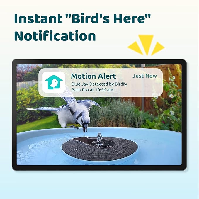 Birdfy Smart Bird Bath with Camera Solar Powered & Fountain, Dual-Lens Camera for Wildbird Watching, Auto Capture Bird Videos & Motion Detection - AI Lifetime Version-VerdiqueGarden