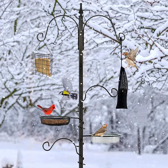 Premium Bird Feeding Station Kit - Multi Feeder Hanging Set with Suet Cage, Bird Bath & Finch Sock Attractors-VerdiqueGarden