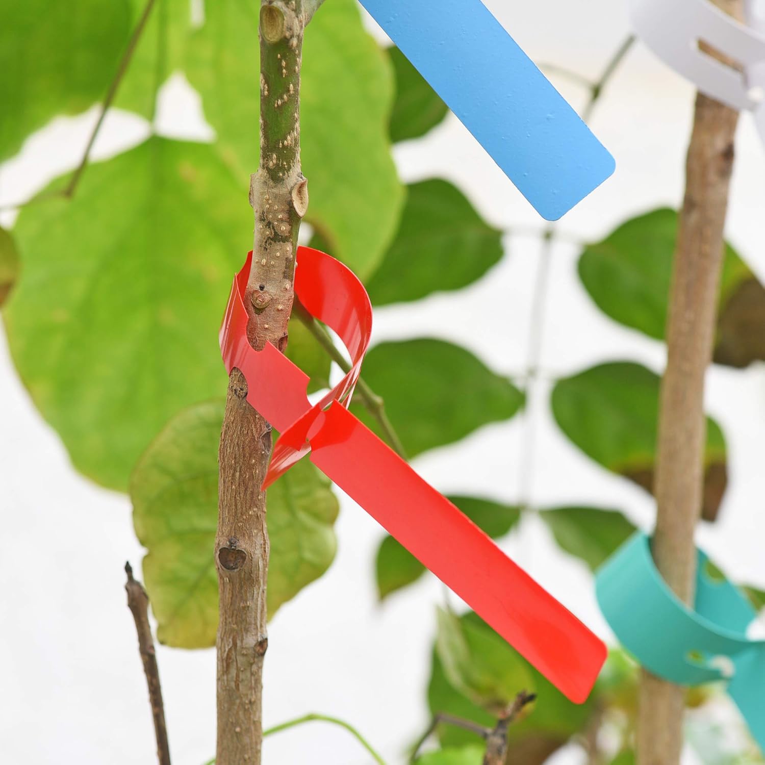 500 Pcs Wrap Around Adjustable Plant Tree Hanging Tags, Plastic Nursery Garden Waterproof Labels, Large Writing Surface (20x2cm, 5 Colors)-VerdiqueGarden