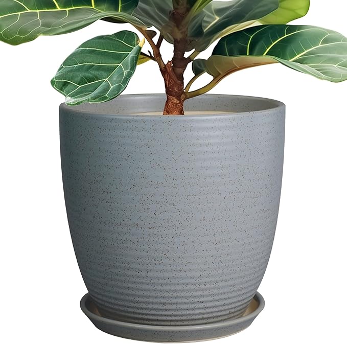 12 Inch Plant Pot, Ceramic Planter Pot with Drainage Hole and Saucer Round Large Flower Pot for Indoor Plants, Light Gray-VerdiqueGarden