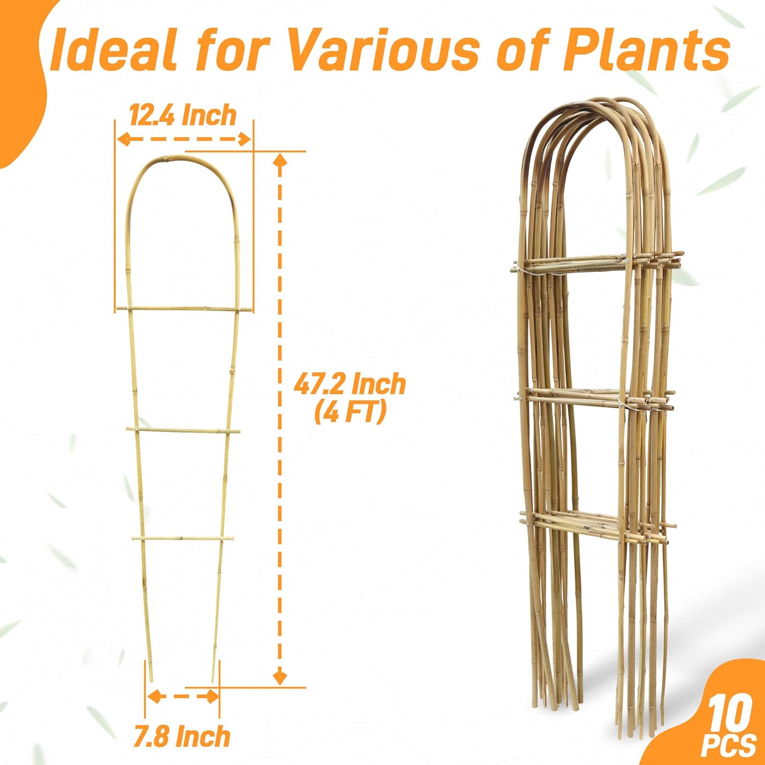 Avalution 10 Pack Bamboo U Trellis for Climbing Plants, 4 FT Garden Ladder Trellis for Potted Plants Indoor, Ladder Small Plant Support Trellis for Houseplants Ivy Hoya Vine Monstera-VerdiqueGarden