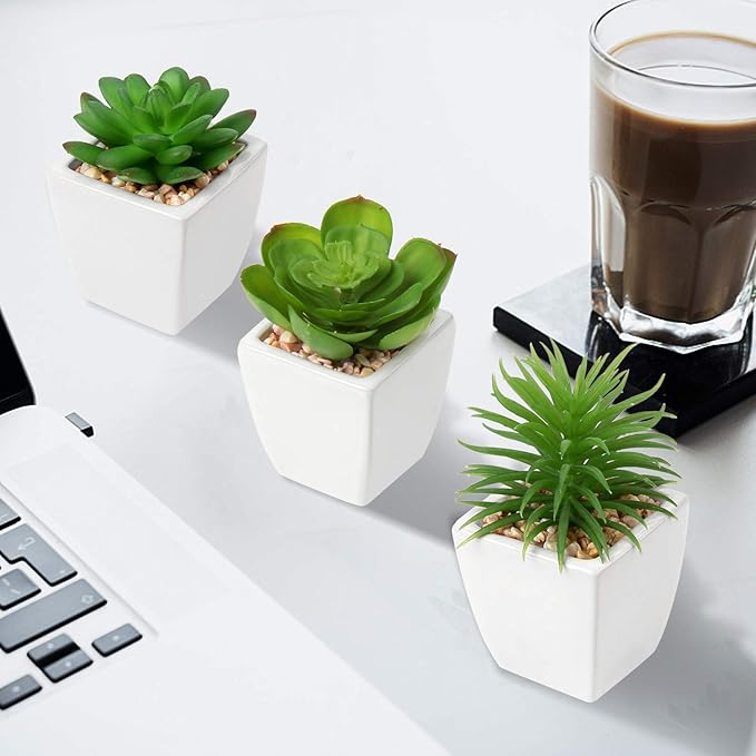 Hollyone Succulents Plants Artificial 3Pcs Small Fake Succulents in Pots Faux Plastic Potted Plants with White Ceramic Pot for Home Decor Classroom Office Bathroom Shelf Indoor & Outdoor Decorations-VerdiqueGarden