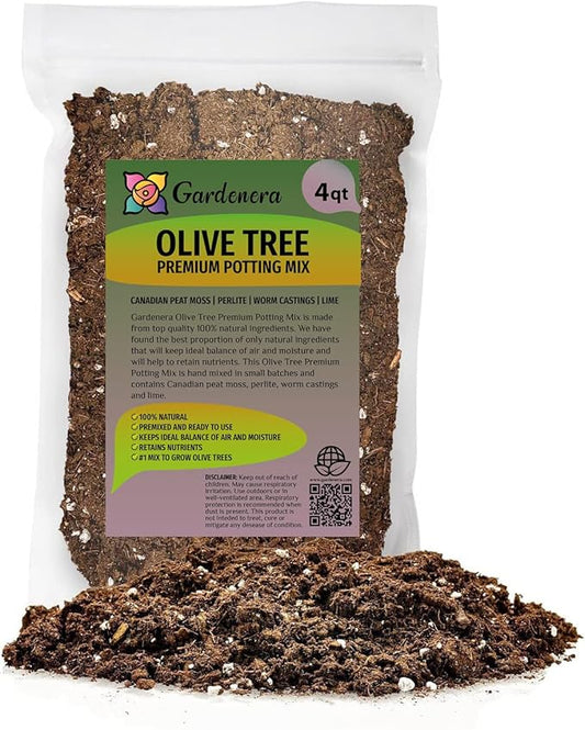 Olive Tree Premium Potting Mix - Create a Mediterranean Paradise in Your Backyard - 4 Quart-VerdiqueGarden