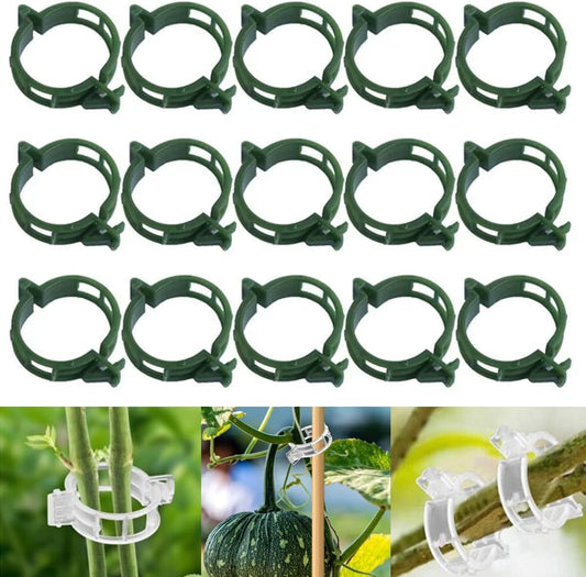 150 PCS Secured Plastic Plant Clip, Plant Support Clips, Garden Clips for Climbing Plants, Plastic Trellis Clips Plant Support Clips Tomato Grape Vine Vegetables Plant Fixing Clips (150, Green)-VerdiqueGarden