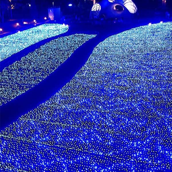 weillsnow Outdoor Christmas Decoration,66 FT 200 LED String Lights with Timer Memory Function,Plug in Waterproof Fairy Lights for Indoor Outdoor Home Room Garden Christmas Party Decor(Blue&White)-VerdiqueGarden