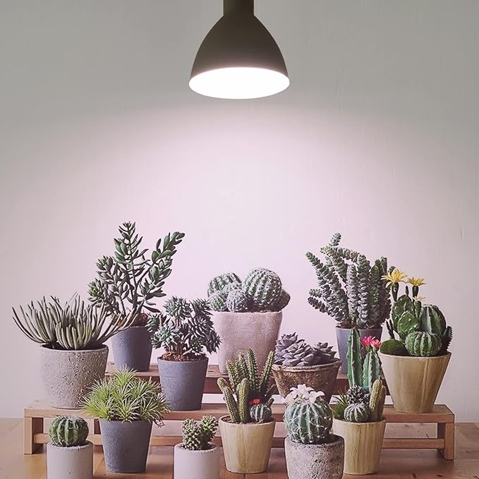 Smart LED Grow Light Bulbs with Remote Controller, Sun Simulation Mode, Built-in Auto Timer, A21/A70 E26/E27 9W Dimmable Full Spectrum Intelligent Plant Grow Bulbs for Indoor Plants, 6 Pack-VerdiqueGarden