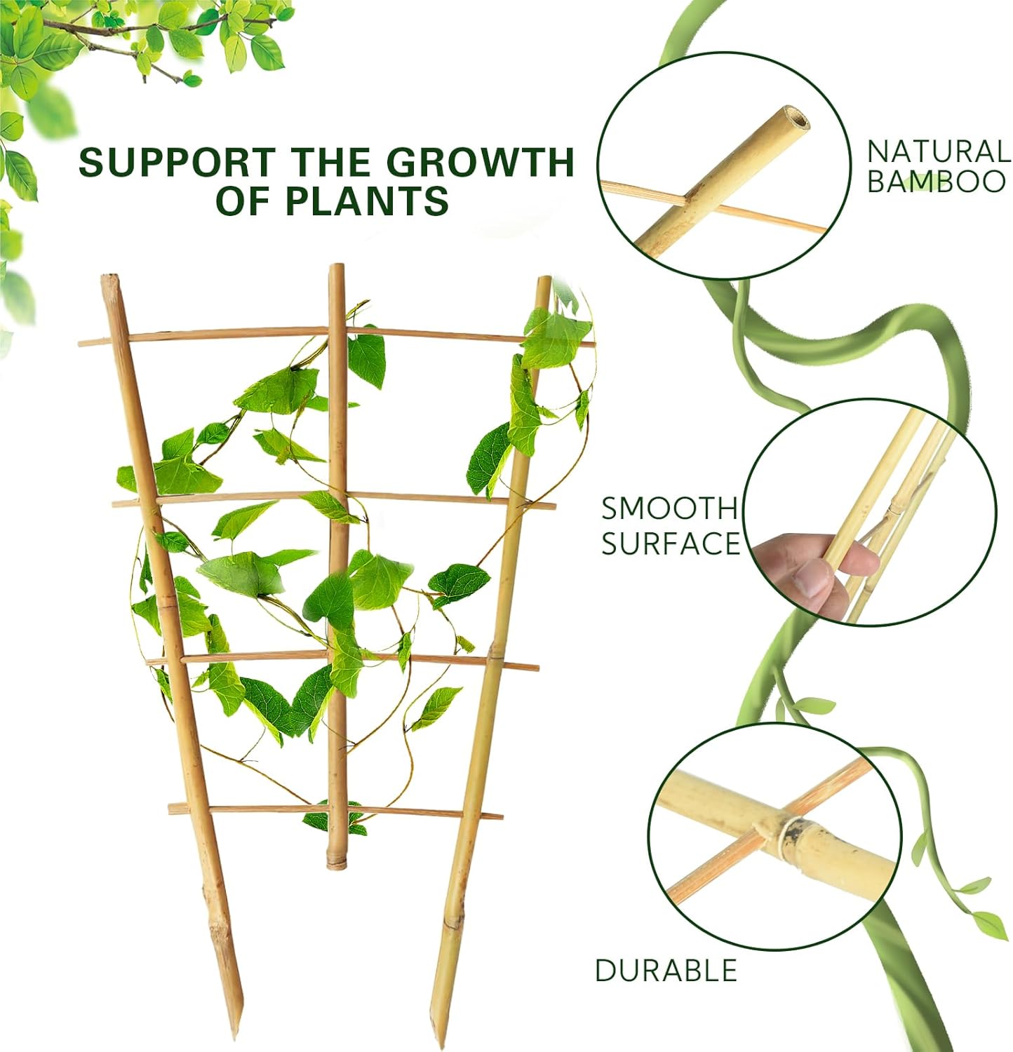 Bamboo Trellis 2FT 3 Pack, Plant Ladder Stakes 24 Inches, Natural Fan-Shaped Bamboo Trellis for Orchid Vines, Monarchs, Ivy and Other Plants Climbing, Help Plant Growth-VerdiqueGarden