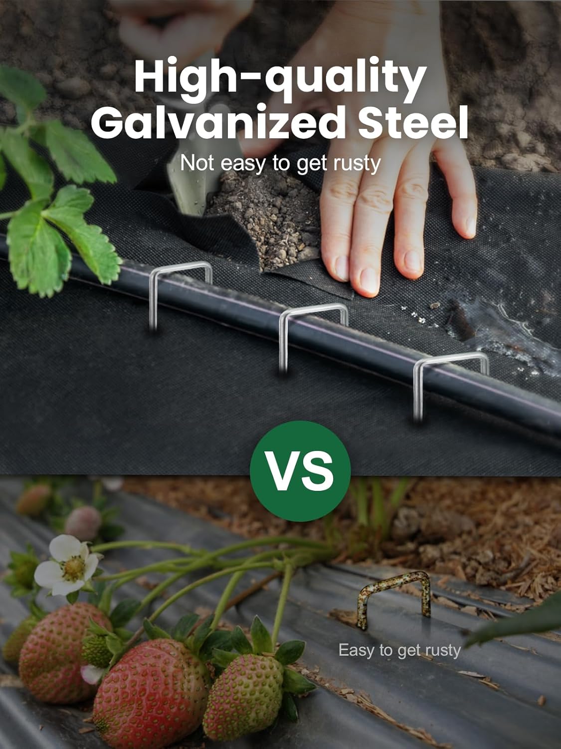 GROWNEER 100 Packs 12 Inches Landscape Staples Heavy Duty 11 Gauge Galvanized Steel Garden Stakes Staples Securing Pegs for Securing Weed Fabric Landscape Fabric Netting Ground Sheets and Fleece-VerdiqueGarden