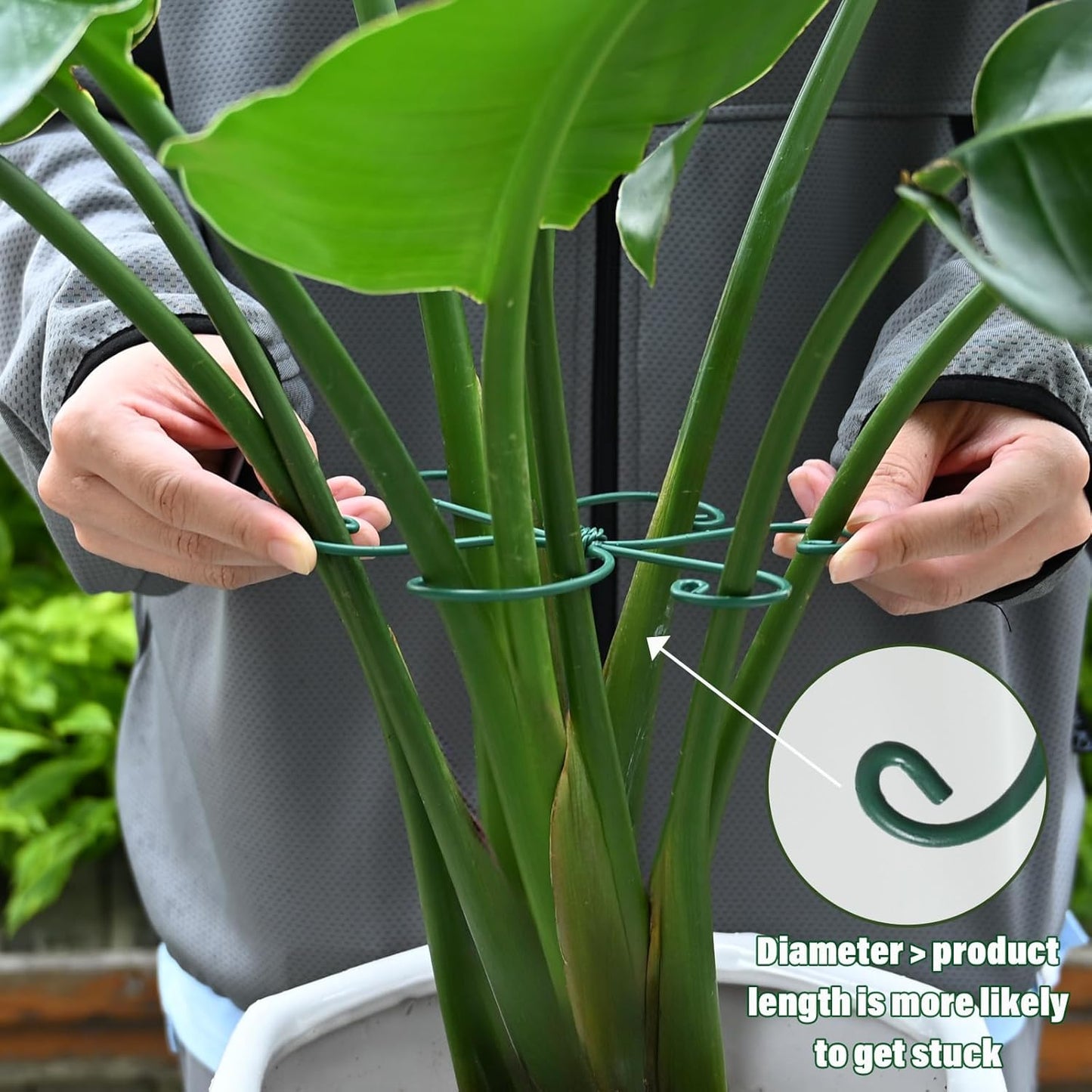 Monstera Plant Stem Support - 5 Pack 6.5"x6.5" Green Metal Stem Stabilizers, Adjustable Ring Clamps for Indoor Plants, Fishbone Cactus, Turtle Shell Bamboo & Climbing Vines-VerdiqueGarden
