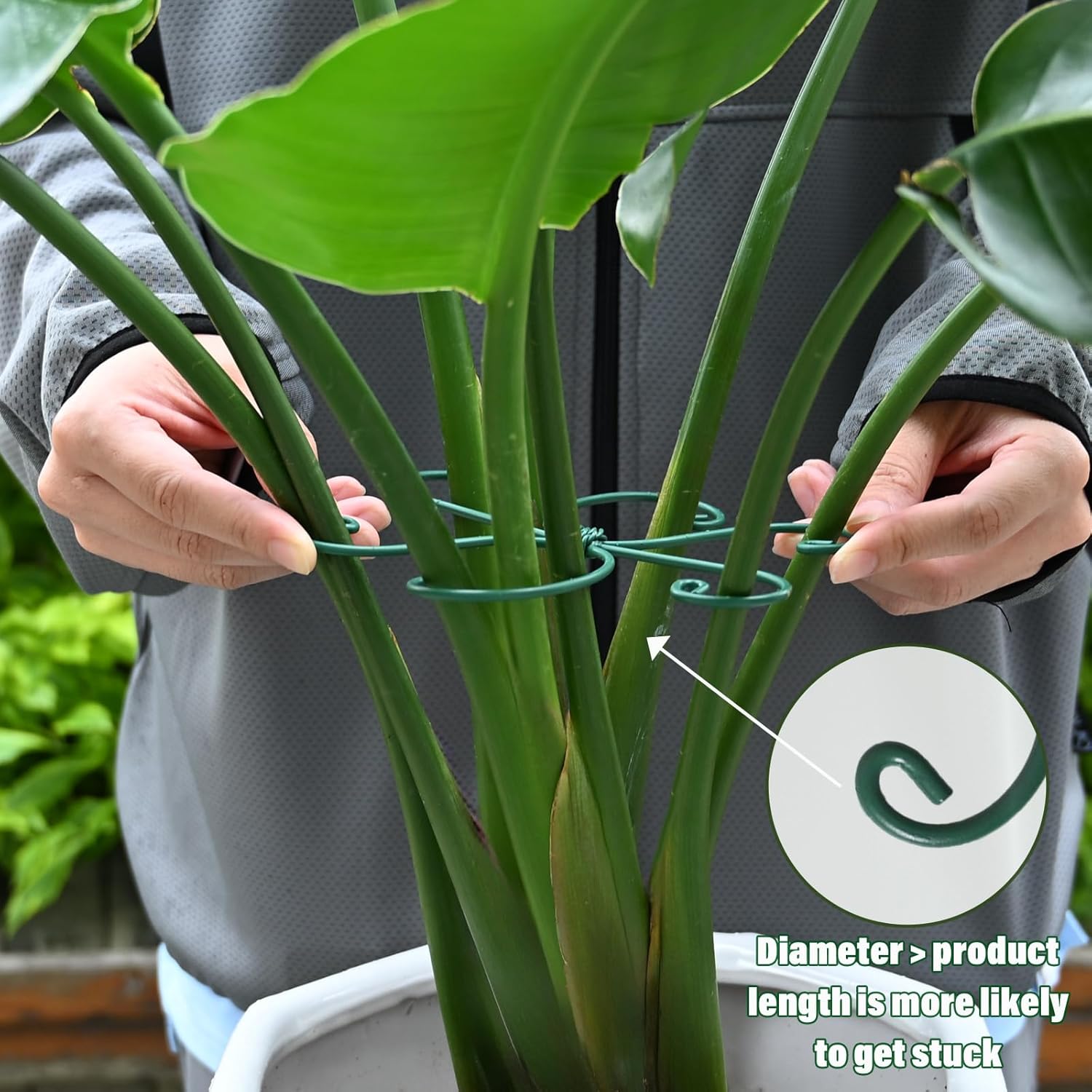 Monstera Plant Stem Support - 5 Pack 6.5"x6.5" Green Metal Stem Stabilizers, Adjustable Ring Clamps for Indoor Plants, Fishbone Cactus, Turtle Shell Bamboo & Climbing Vines-VerdiqueGarden