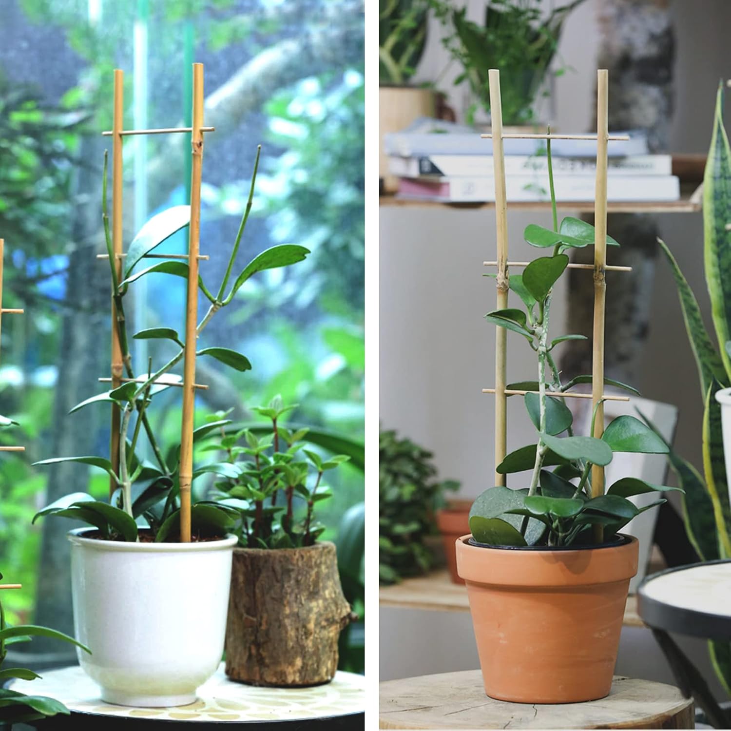 Bamboo Trellis, 16in Ladder-Shaped Trellis for Potted Plants, 3 Pack for Climbing Plants Indoor-VerdiqueGarden