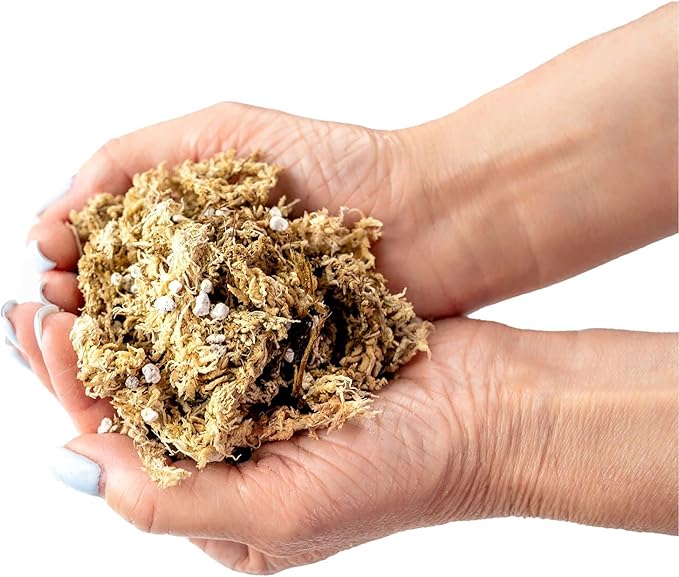 Sphagnum Moss Potting Mix for Carnivorous Plants, Moss and Perlite Blend for Potting Venus Fly Traps, Sarracenia, Pitcher Plants - 75% Sphagnum Moss + 25% Perlite - Made in USA - 1 Quart-VerdiqueGarden