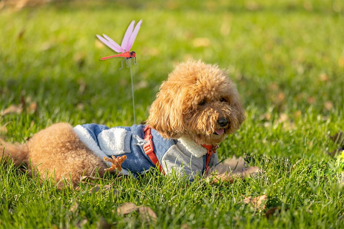 Spiritlele 8 PCS Fake Dragonfly Clip Colorful Hat Clip 3D Dragonfly Garden Decor for Patio Outdoor Indoor-VerdiqueGarden