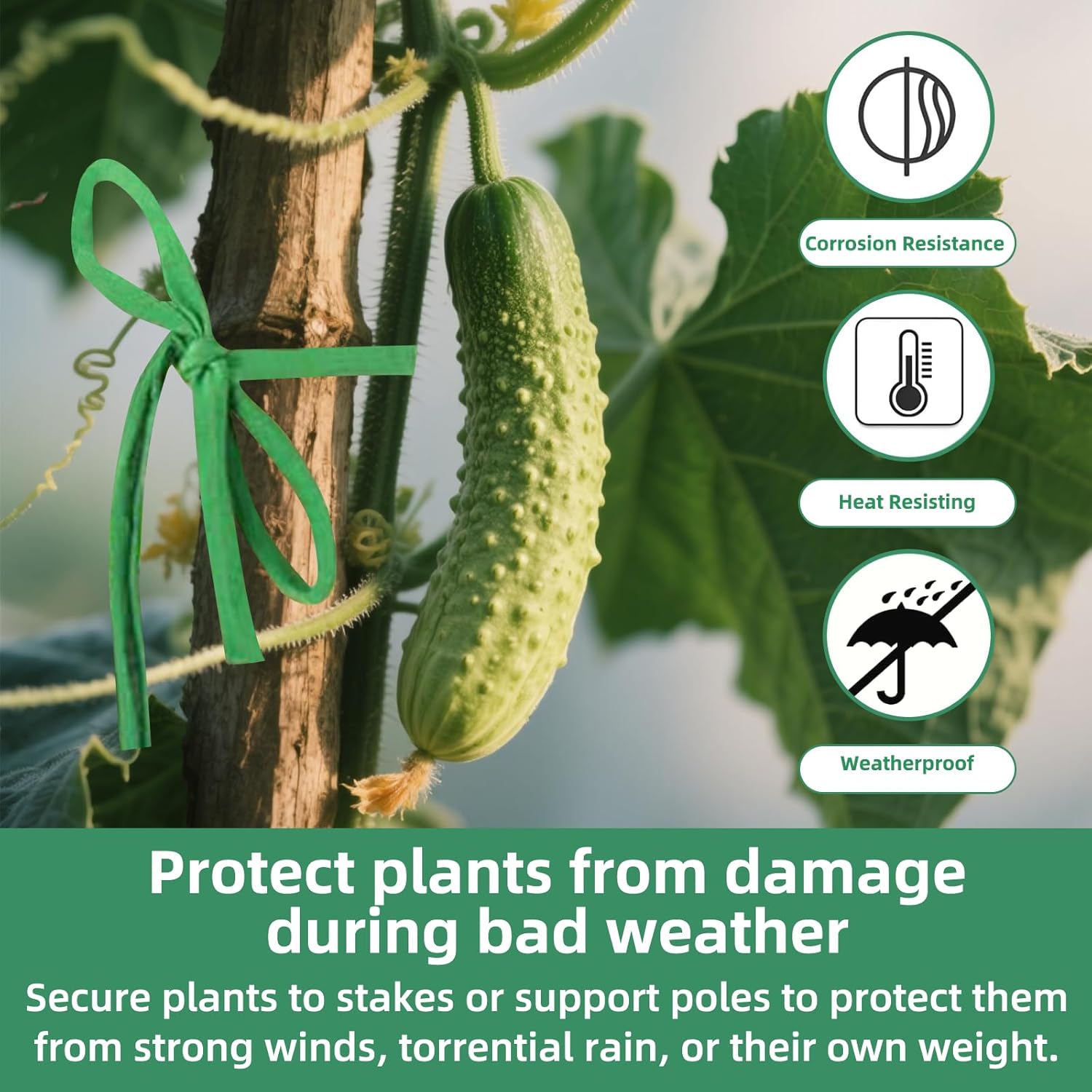 2 Packs Garden Twine, 196Ft Soft Garden String Green, Stretchy Plant Ties for Supporting and Tying Climbing Plants, Outdoor Plants, Tomatoes, Fruit Trees, Gardeners(98 Feet/Roll)-VerdiqueGarden