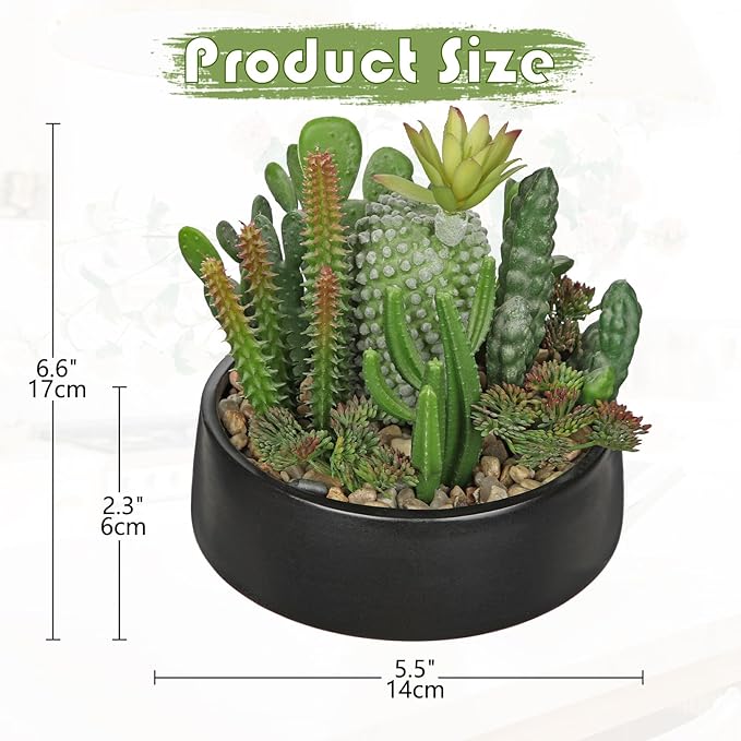 DILATATA Artificial Cactus Plants in Pot 5.5 Inch Fake Succulents Arrangement Potted Plant in Black Ceramic Planter Bowl for Home Office Desk Shelf Living Room Bedroom Bathroom Decor-VerdiqueGarden