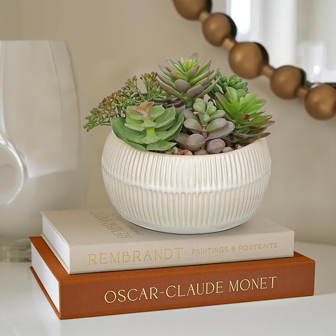 DILATATA Artificial Succulent Plants in Pot 5.5 Inch Fake Succulents Arrangement Potted Plant in White Ceramic Planter Bowl for Home Office Desk Shelf Living Room Bedroom Bathroom Decor-VerdiqueGarden
