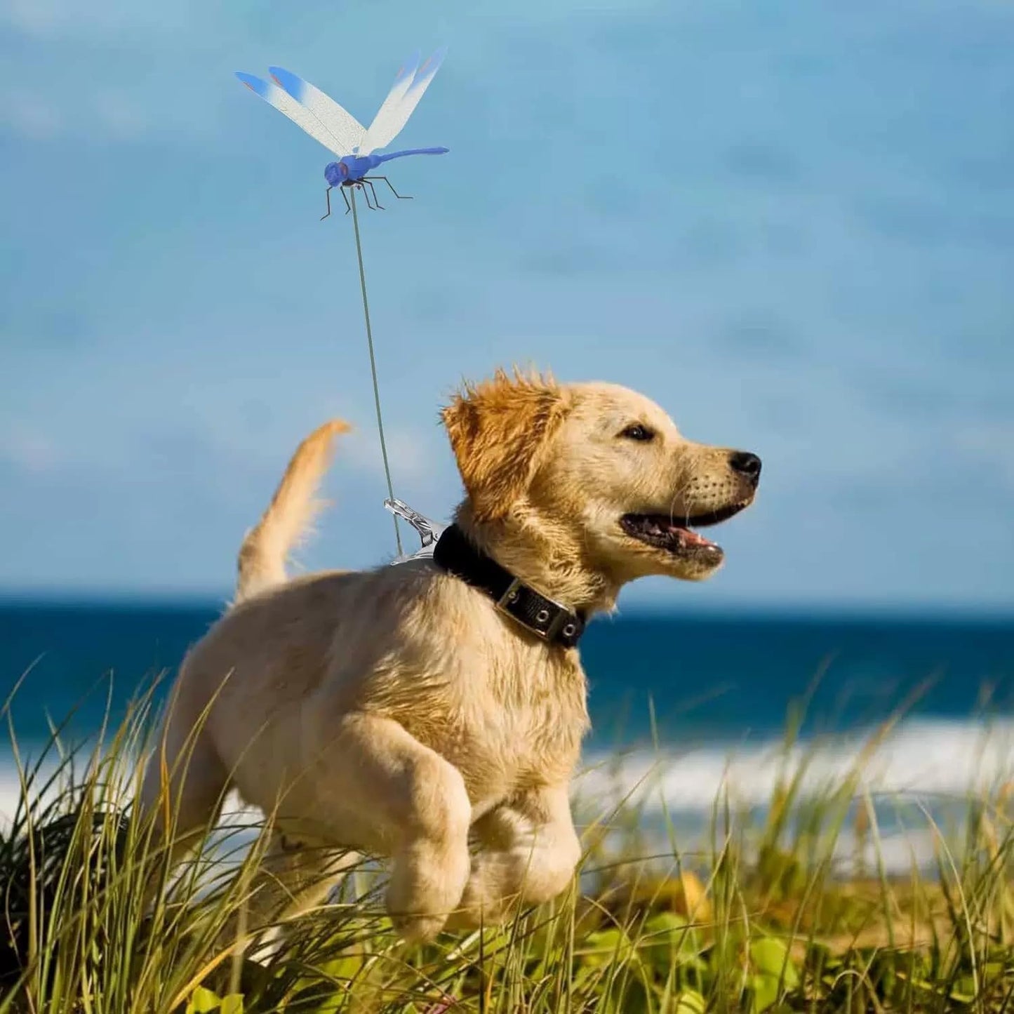 8pcs Dragonfly Hat Clip Realistic Fake Dragonflies Clip-On Garden Outdoor Decor Stakes Plastic Dragon Fly Clips Plant Decorations for Pots-VerdiqueGarden