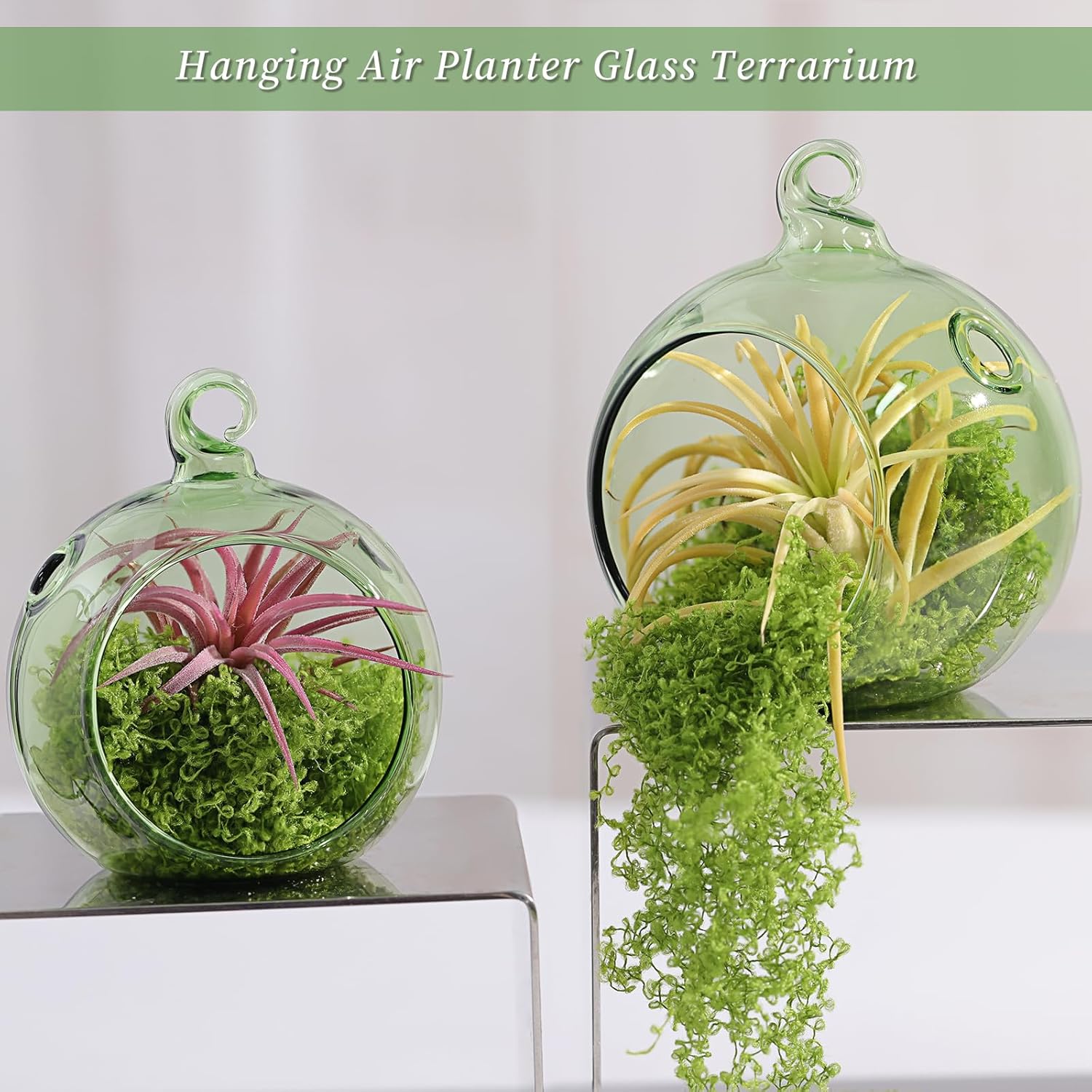 LETINE 12pcs Green Glass Orb Set, 2.17" & 1.93" Spheres for Air Plant Terrarium, Tea Light & Votive Candle Holders - Ideal for Wedding Centerpieces, Christmas Table Decorations, Rehearsal Dinner-VerdiqueGarden