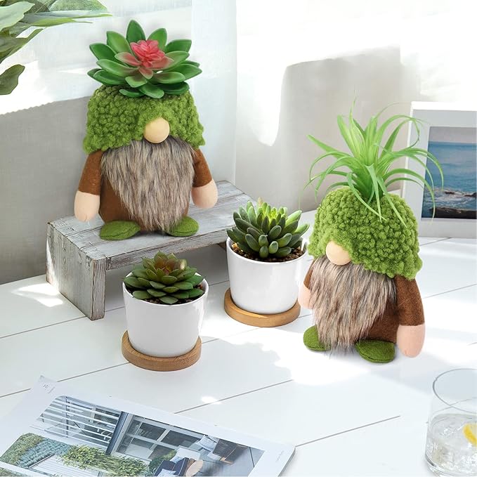 Upltowtme Succulent Gnomes Spring Green Plants Gnomes Swedish Plush Tiered Tray Decoration Tomte Doll Decor Cacti Nordic Dwarf Home Stuffed Gnomes Collection Garden Gift for Her Him Plant Lover-VerdiqueGarden