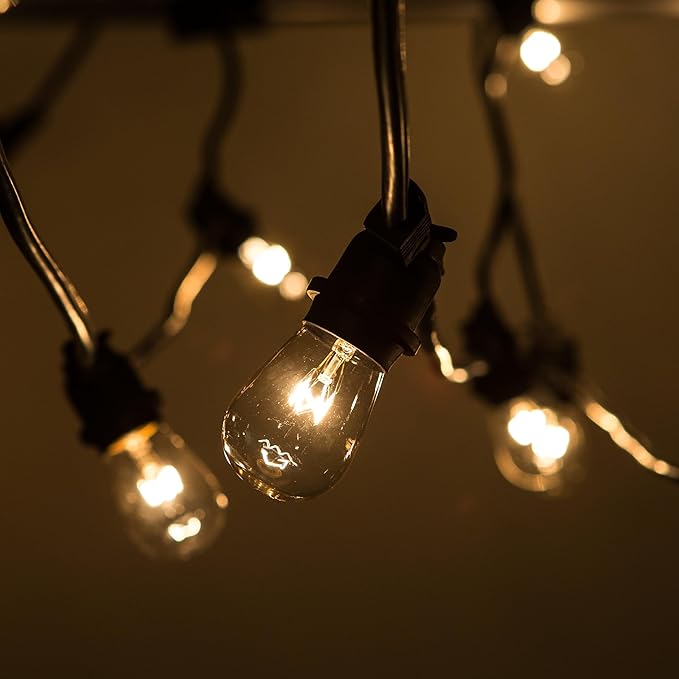 Hometown Evolution, Inc. Commercial E26 String Lights with 16 Gauge Wire (50 Foot 25 Socket, S14 11 Watt Clear Bulb)-VerdiqueGarden