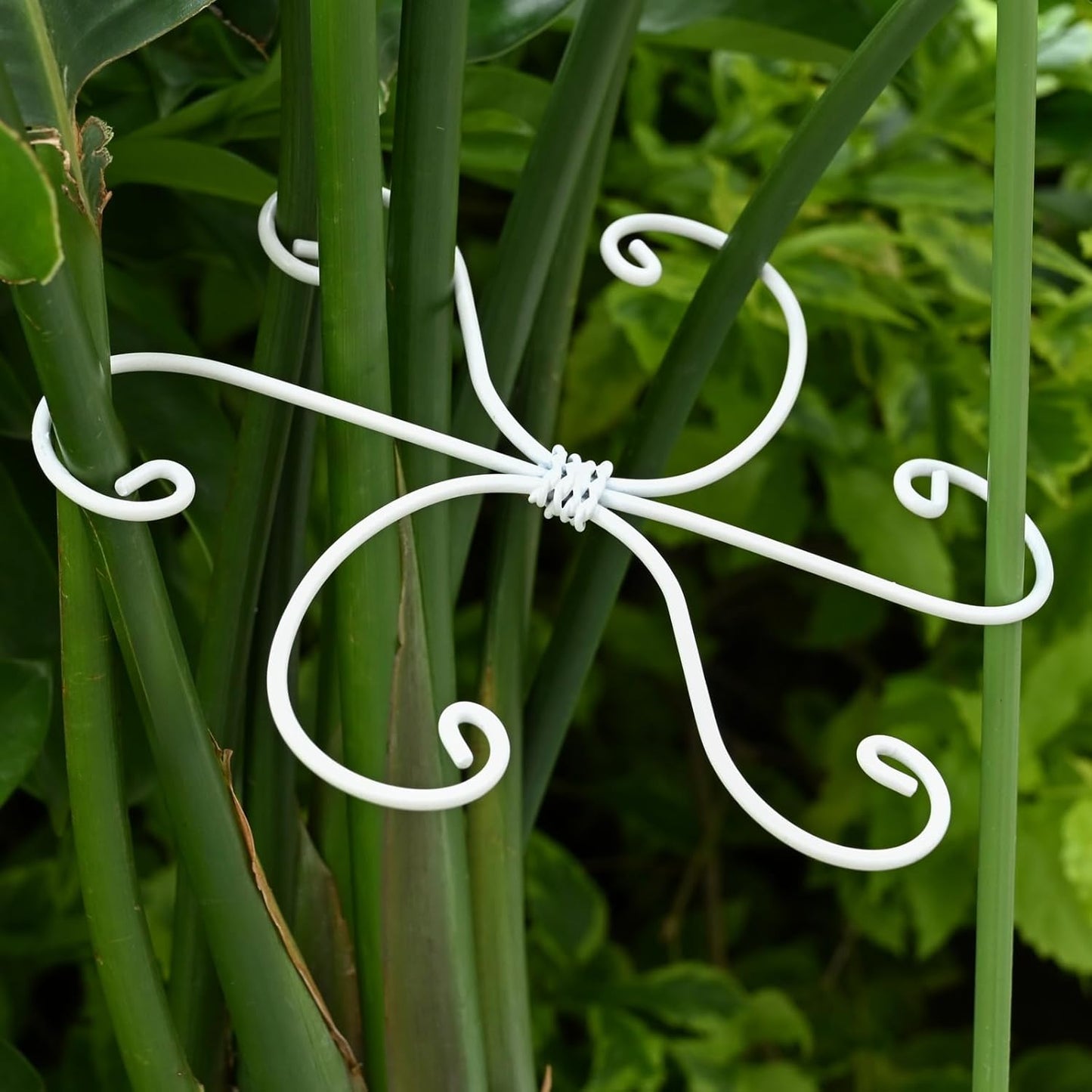 6.5 * 6.5in Monstera Plant Support Hook 5PCS - Durable Stabilizer & Leaf Holder for Indoor Plants, Flexible Installation & Soft Grip Design - Perfect for Fishbone Cactus and Other Houseplants-VerdiqueGarden