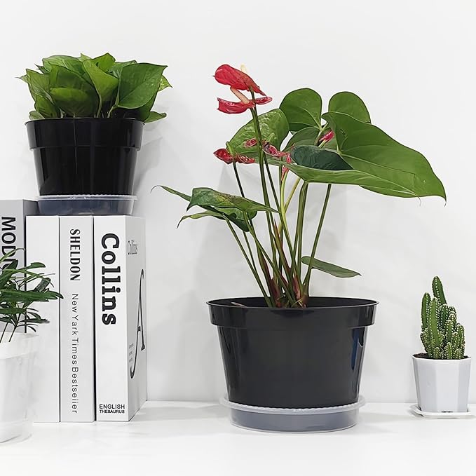 12 Pack Plant Pots, 8 Inch Plant Planter with Clear Saucer, Plastic Pots for Plants Indoor and Out Door Such as Strawberry, Herb and Flowers (Black)-VerdiqueGarden