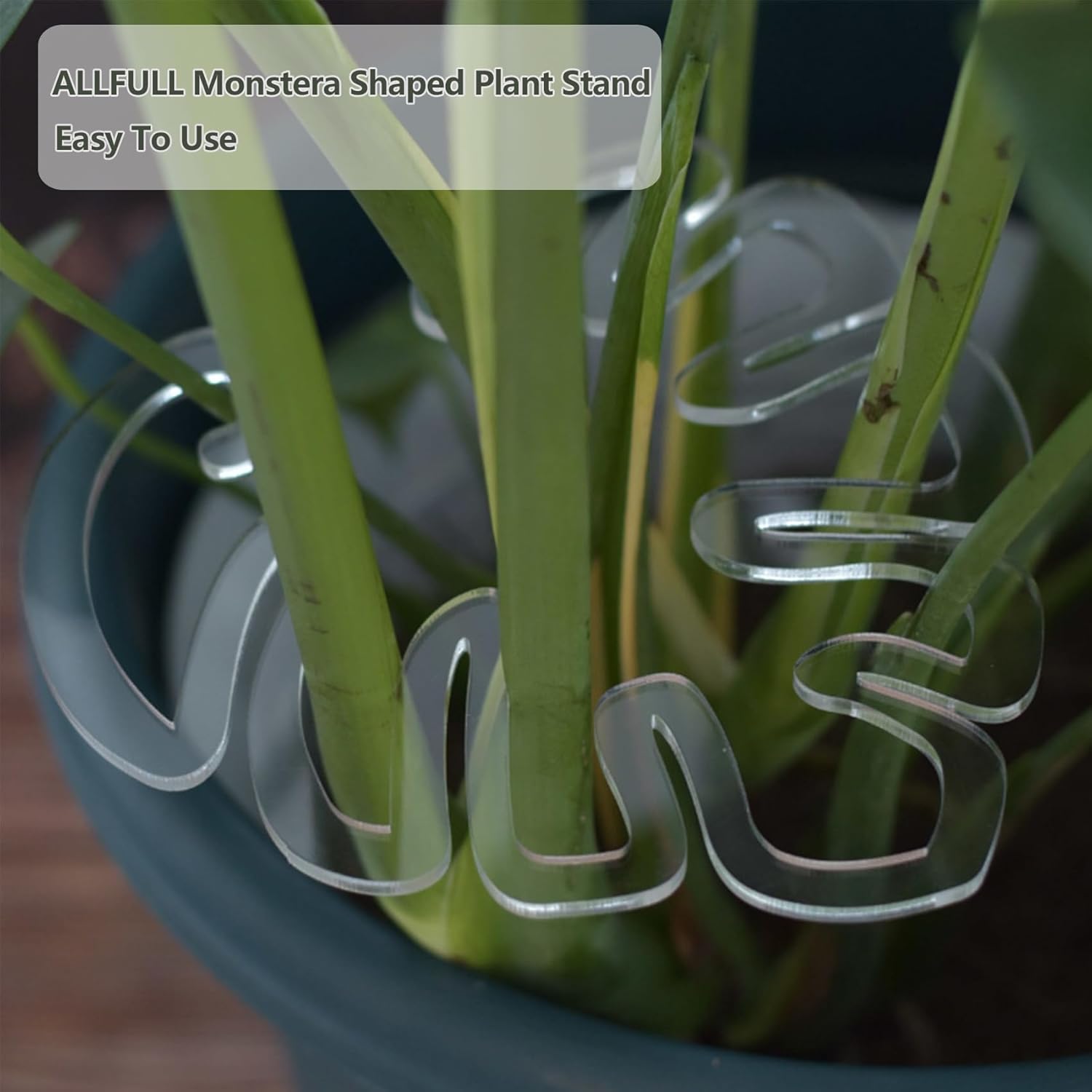 2PCS Plant Stem Support , Acrylic Monstera Stabilizer Grapple Holder Unique Design for Climbing Plants, Turtle Shell Bamboo Clamp Set, Ideal Plant Support for Thriving Growth Indoor Outdoor Plants-VerdiqueGarden