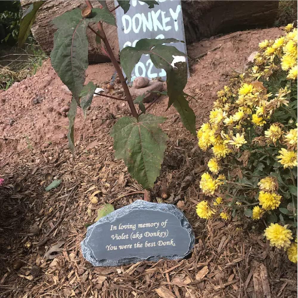 Personalized Garden Stones Engraved with Any Message, larser Engraved Garden Memorial Stones Outdoor Decorative Rocks, 8"X4.5"X2.5"-VerdiqueGarden