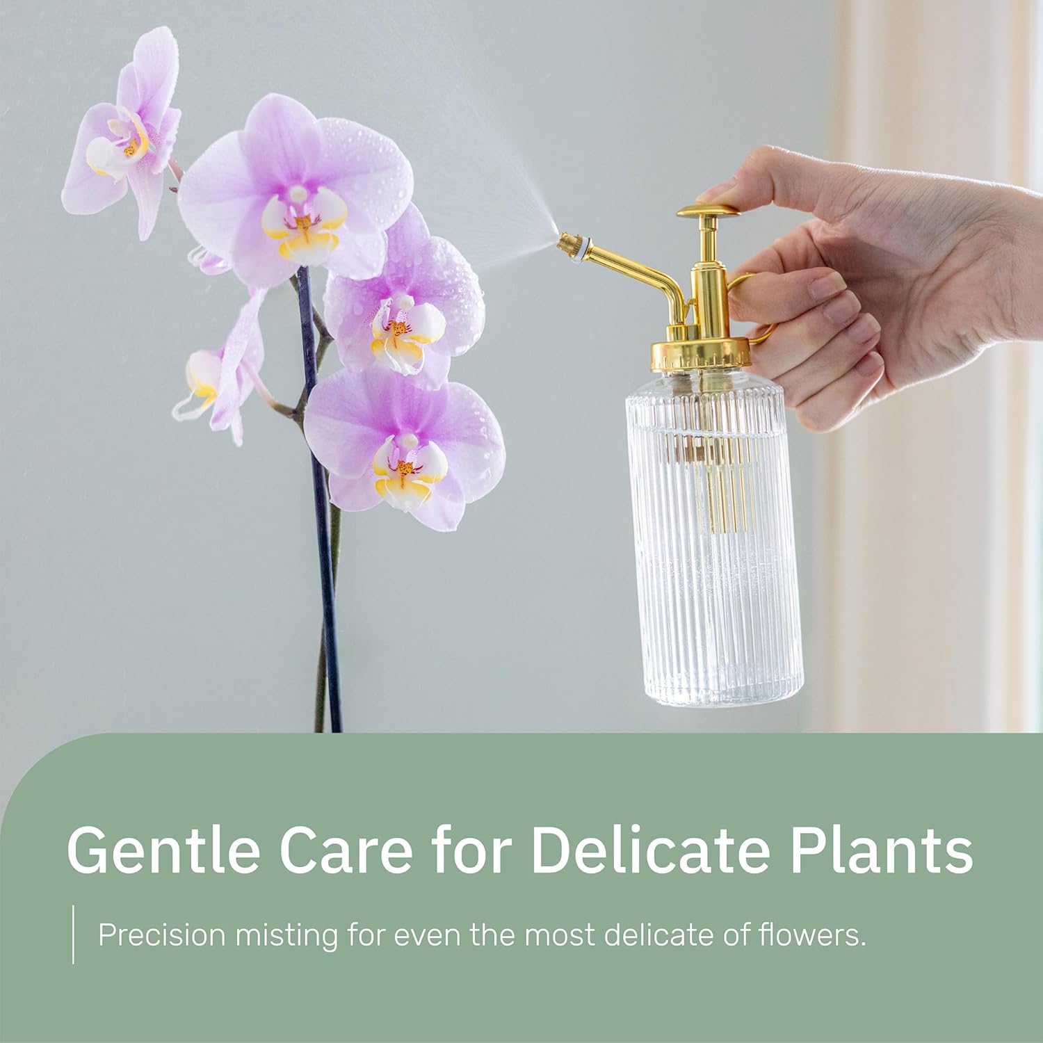 Glass Plant Mister for inside, Mister for Plants, Plant Sprayer Mister, Decorative Plant Mister Spray Bottle with Adjustable Nozzle for indoor plants (230ml/ 7.8oz) - Clear-VerdiqueGarden