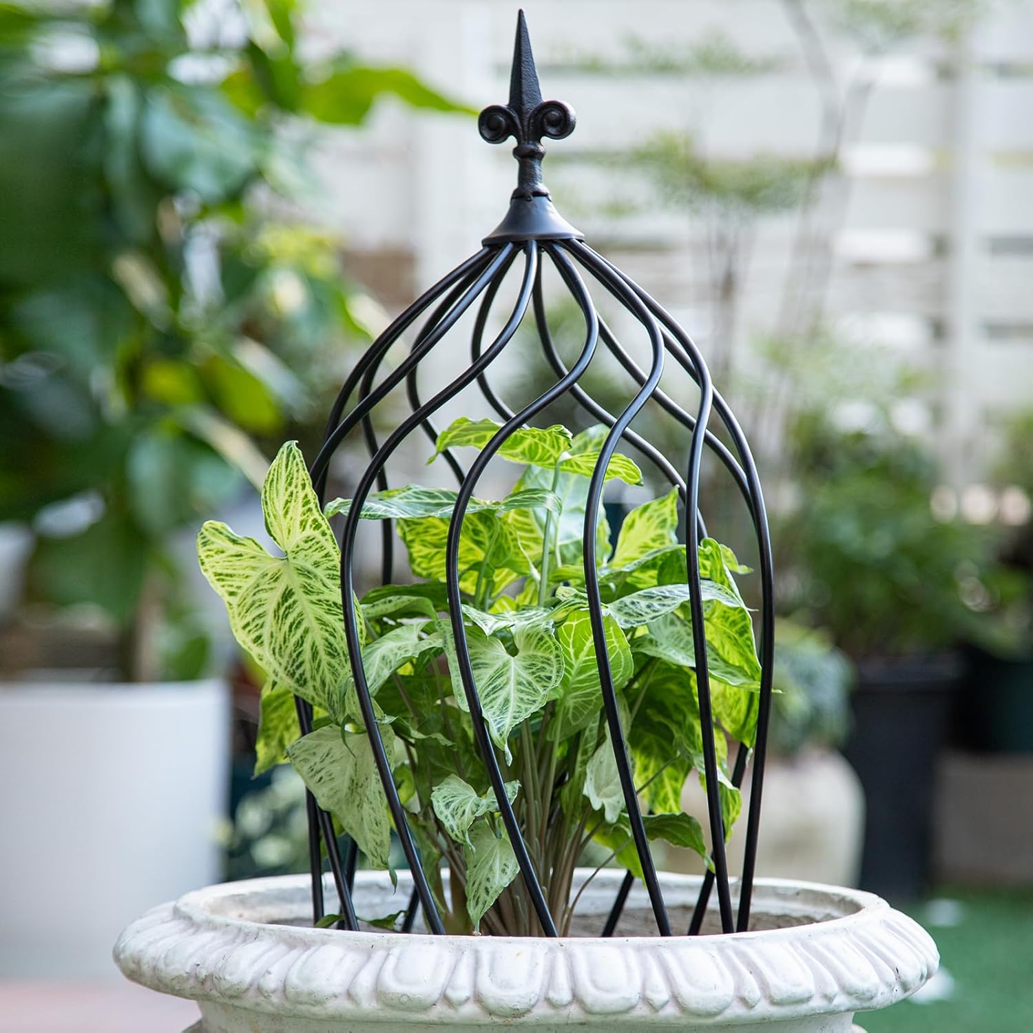 23-Inch Metal Obelisk Trellis for Climbing Plants | Sturdy Iron Design, Ideal for Outdoor Roses and Potted Vines | Easy Assembly, Compact Vertical Garden Decor for Indoor & Outdoor Use-VerdiqueGarden