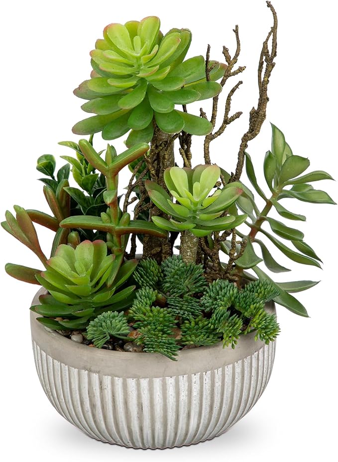 DILATATA Small Faux Plant Assorted Fake Succulents Plants Faux Succulents Arrangement Cement Potted Desk Plants Small Fake Plants for Home Table Office Bathroom Shelf Living Room Decor-VerdiqueGarden