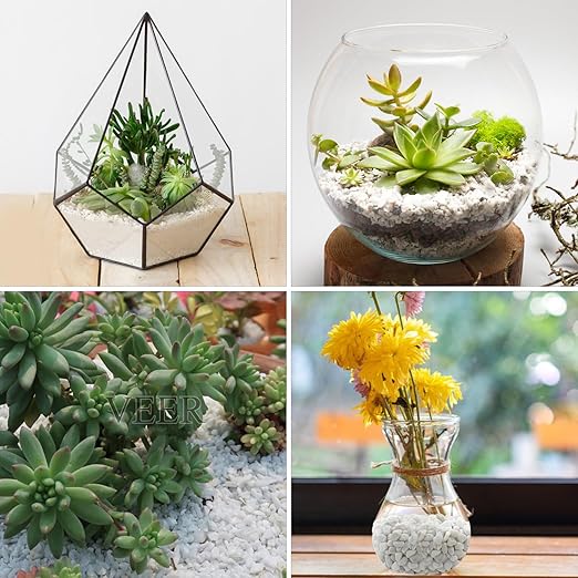 10lbs White Pebbles for Landscaping, 3/8inch Small Rocks for Succulent Cactus Planters, Natural Polished Pebbles, River Rocks for Plants, Vases, Garden-VerdiqueGarden