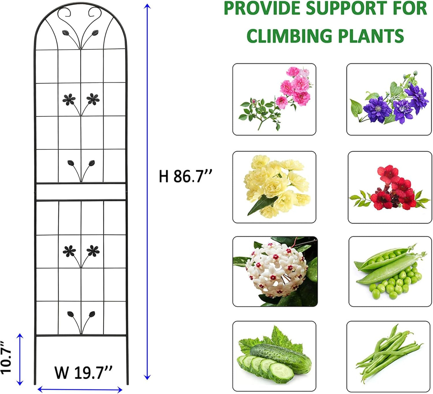 4 Pack Metal Garden Trellis 86.7" Tall Outdoor Climbing Plant Support for Roses, Flowers, Rustproof Durable Black Galvanized Tube, Lawn Garden Fence Decor Screen (4, Daisy-86.7" H)-VerdiqueGarden